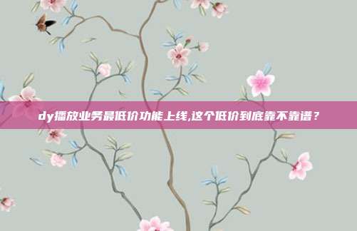 dy播放业务最低价功能上线,这个低价到底靠不靠谱?
