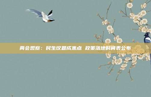 两会观察:民生议题成焦点 政策落地时间表公布