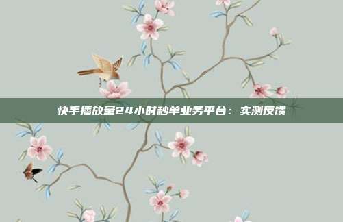快手播放量24小时秒单业务平台:实测反馈