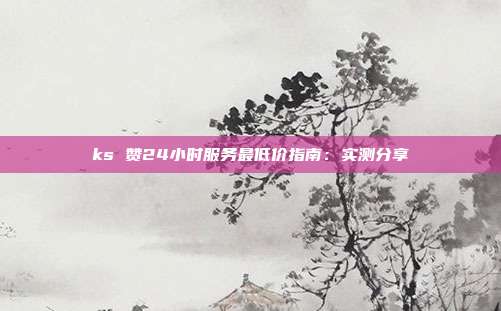 ks 赞24小时服务最低价指南:实测分享