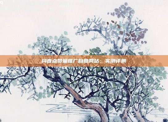 抖音点赞量推广自助网站:实测评测