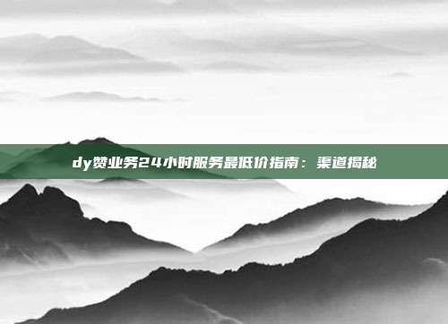 dy赞业务24小时服务最低价指南:渠道揭秘