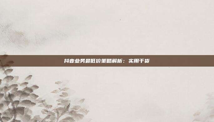 抖音业务最低价策略解析:实用干货