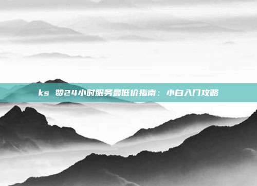 ks 赞24小时服务最低价指南:小白入门攻略
