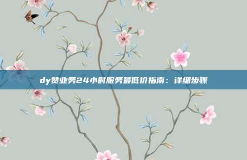 dy赞业务24小时服务最低价指南:详细步骤