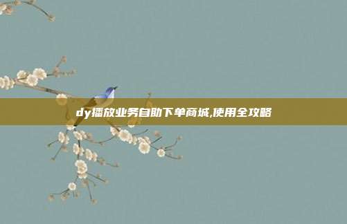 dy播放业务自助下单商城,使用全攻略