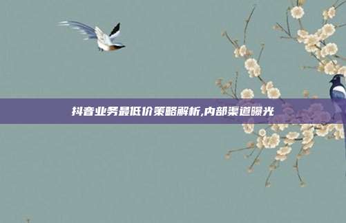抖音业务最低价策略解析,内部渠道曝光