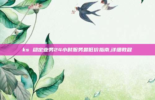 ks 稳定业务24小时服务最低价指南,详细教程
