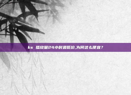 ks 播放量24小时最低价,为何这么便宜?