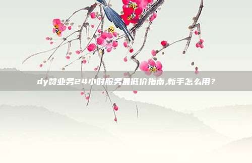 dy赞业务24小时服务最低价指南,新手怎么用?