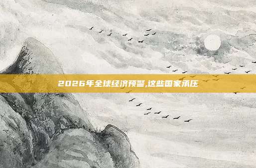 2026年全球经济预警,这些国家承压