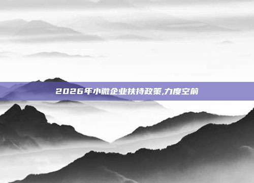 2026年小微企业扶持政策,力度空前