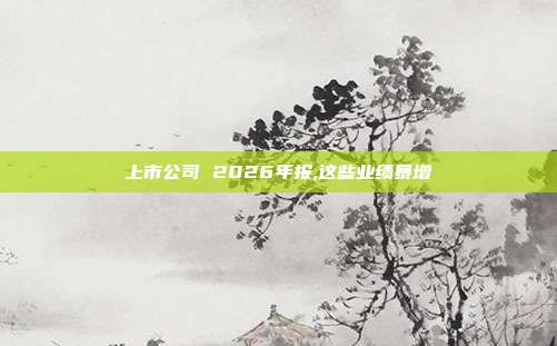 上市公司 2026年报,这些业绩暴增