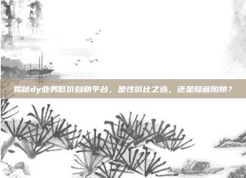 揭秘dy业务低价自助平台,是性价比之选,还是隐藏陷阱?
