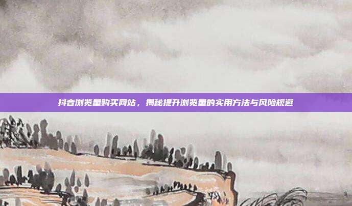 抖音浏览量购买网站,揭秘提升浏览量的实用方法与风险规避