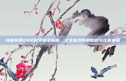 抖音买赞24小时平台全解析,安全高效使用教程与注意事项