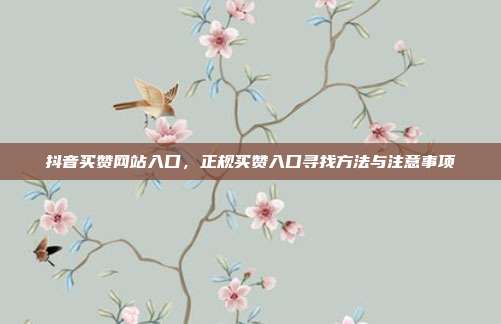抖音买赞网站入口,正规买赞入口寻找方法与注意事项