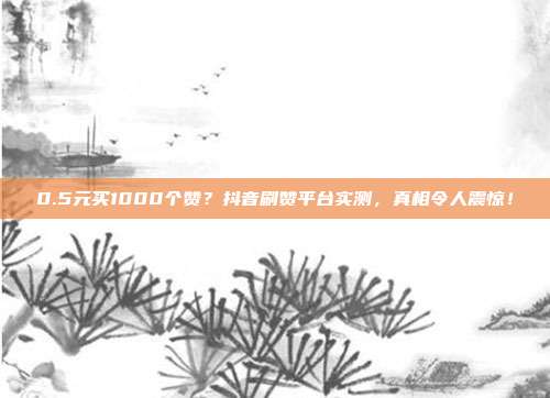 0.5元买1000个赞?抖音刷赞平台实测,真相令人震惊!