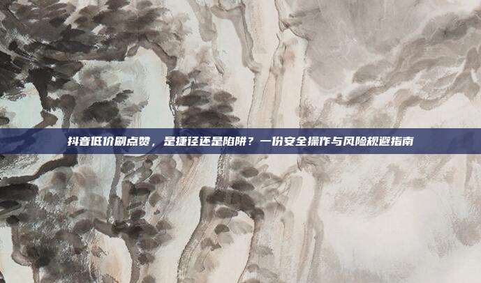 抖音低价刷点赞,是捷径还是陷阱?一份安全操作与风险规避指南