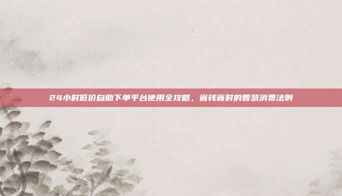 24小时低价自助下单平台使用全攻略,省钱省时的智慧消费法则