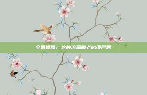 全网愤怒!这种流量啃老必须严惩