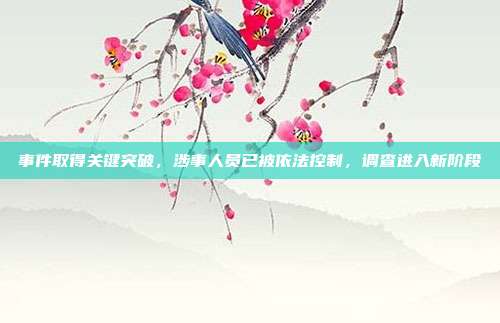 事件取得关键突破,涉事人员已被依法控制,调查进入新阶段