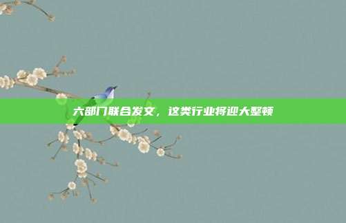 六部门联合发文,这类行业将迎大整顿