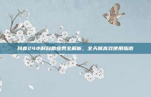 抖音24小时自助业务全解析,全天候高效使用指南