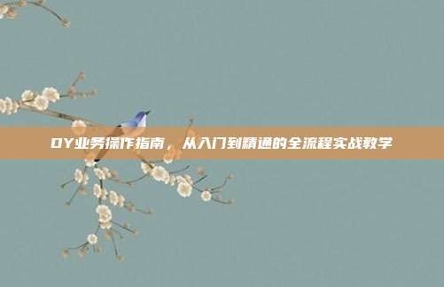 DY业务操作指南，从入门到精通的全流程实战教学