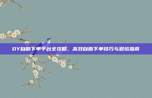 DY自助下单平台全攻略，高效自助下单技巧与避坑指南