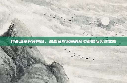 抖音流量购买网站,合规获取流量的核心策略与实战思路