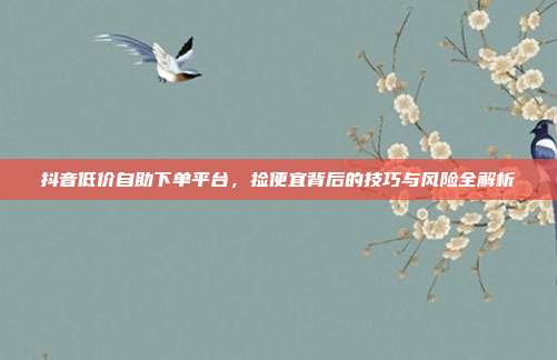 抖音低价自助下单平台，捡便宜背后的技巧与风险全解析