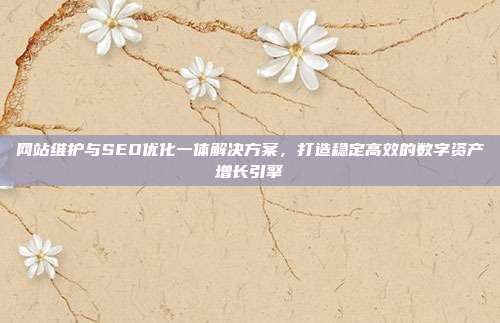 网站维护与SEO优化一体解决方案,打造稳定高效的数字资产增长引擎