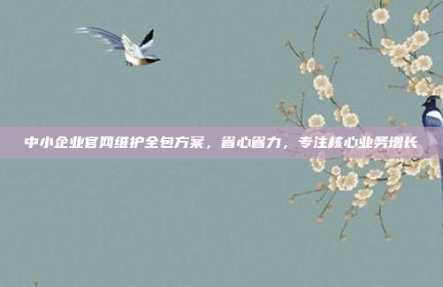 中小企业官网维护全包方案,省心省力,专注核心业务增长