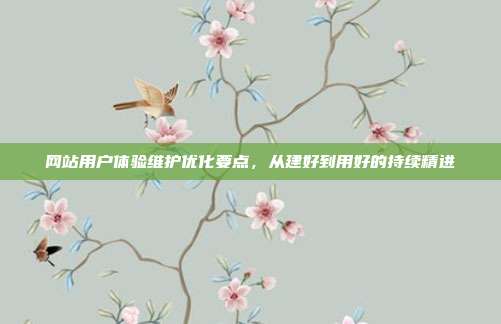网站用户体验维护优化要点,从建好到用好的持续精进