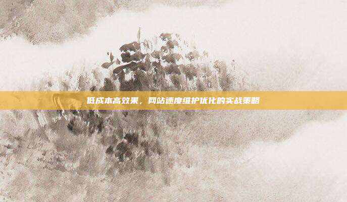 低成本高效果,网站速度维护优化的实战策略
