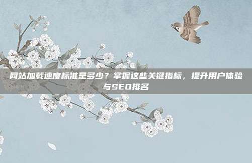 网站加载速度标准是多少?掌握这些关键指标,提升用户体验与SEO排名