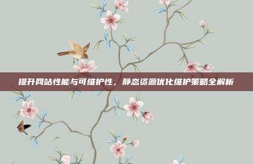 提升网站性能与可维护性,静态资源优化维护策略全解析