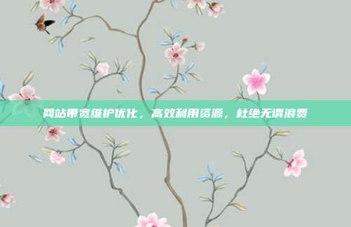 网站带宽维护优化,高效利用资源,杜绝无谓浪费