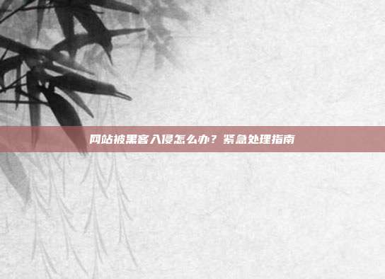 网站被黑客入侵怎么办？紧急处理指南