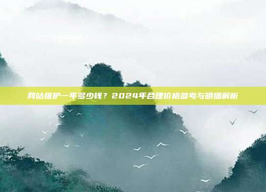 网站维护一年多少钱？2024年合理价格参考与明细解析