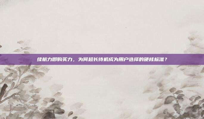 续航力即购买力，为何超长待机成为用户选择的硬核标准？