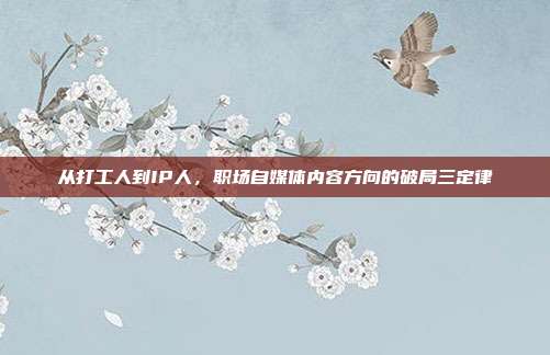 从打工人到IP人,职场自媒体内容方向的破局三定律
