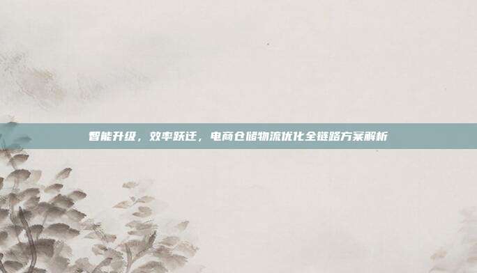 智能升级，效率跃迁，电商仓储物流优化全链路方案解析