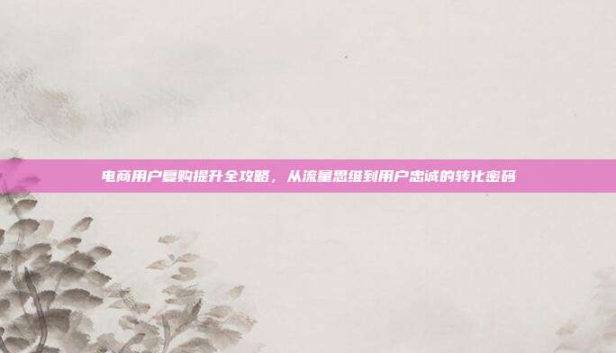 电商用户复购提升全攻略，从流量思维到用户忠诚的转化密码