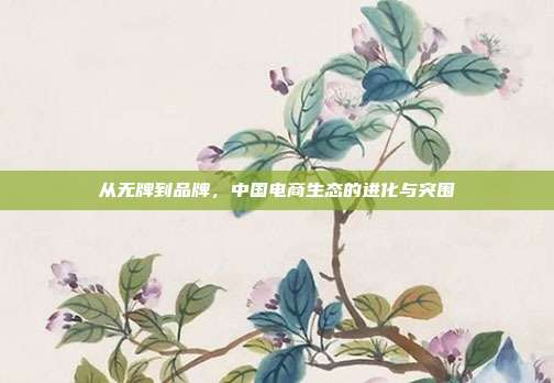 从无牌到品牌，中国电商生态的进化与突围