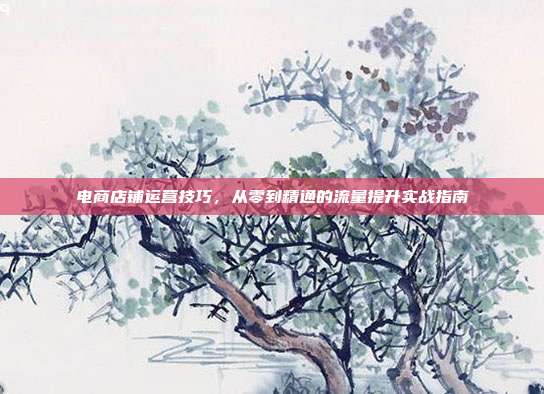 电商店铺运营技巧，从零到精通的流量提升实战指南