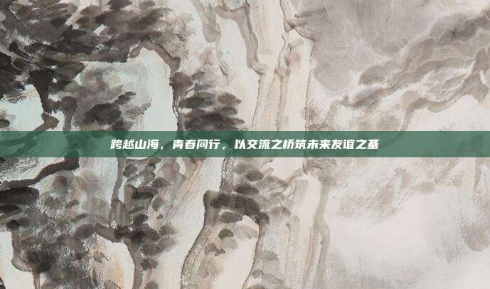 跨越山海，青春同行，以交流之桥筑未来友谊之基