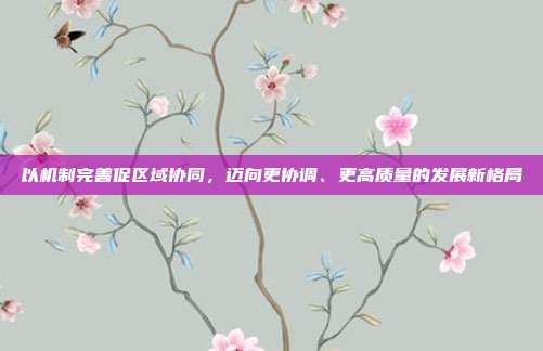 以机制完善促区域协同，迈向更协调、更高质量的发展新格局