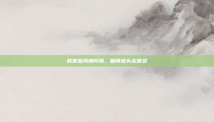 政策春风拂阡陌，田间地头实惠多